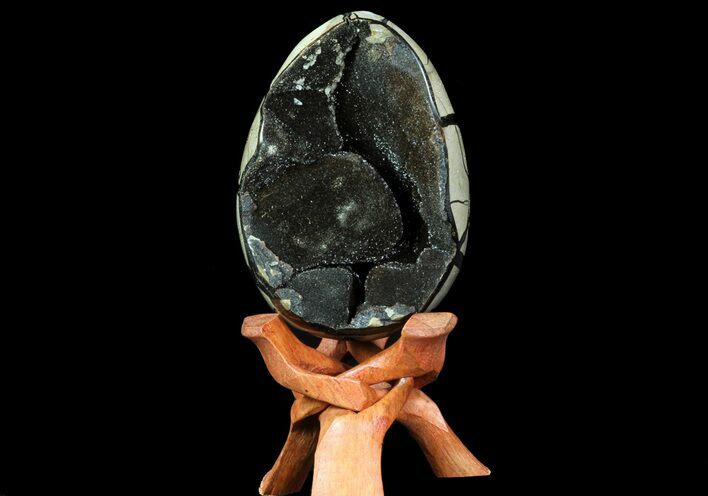 Septarian Dragon Egg Geode - Black Crystals #71999